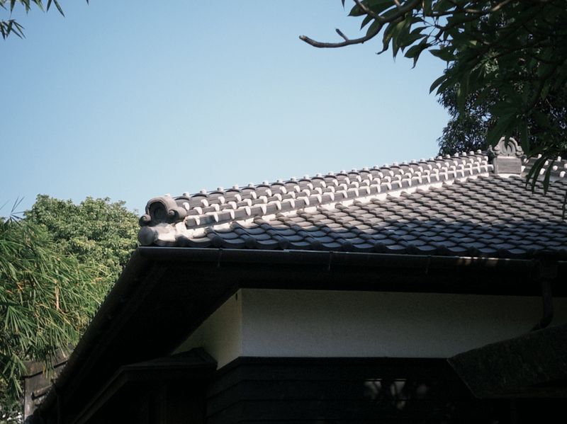 321巷藝術聚落 照片 6