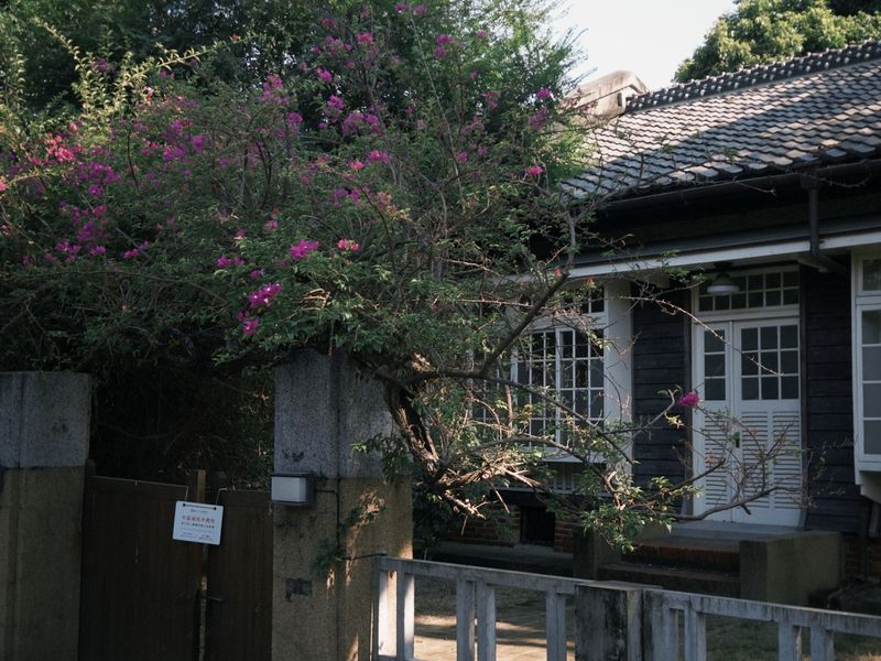 321巷藝術聚落 照片 8
